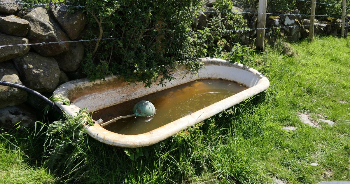 Vzal starou vanu a udělal z ní krásné zahradní jezírko s vodopádem