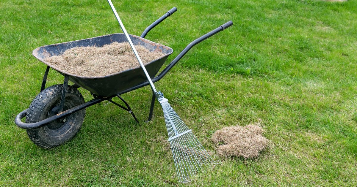 Jak zbavit trávník otravného mechu: Pomocnou ruku podá ocet