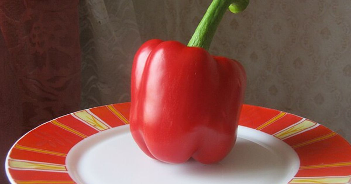 Jak na správné skladování paprik: V chladu pod 7 °C nemají co dělat