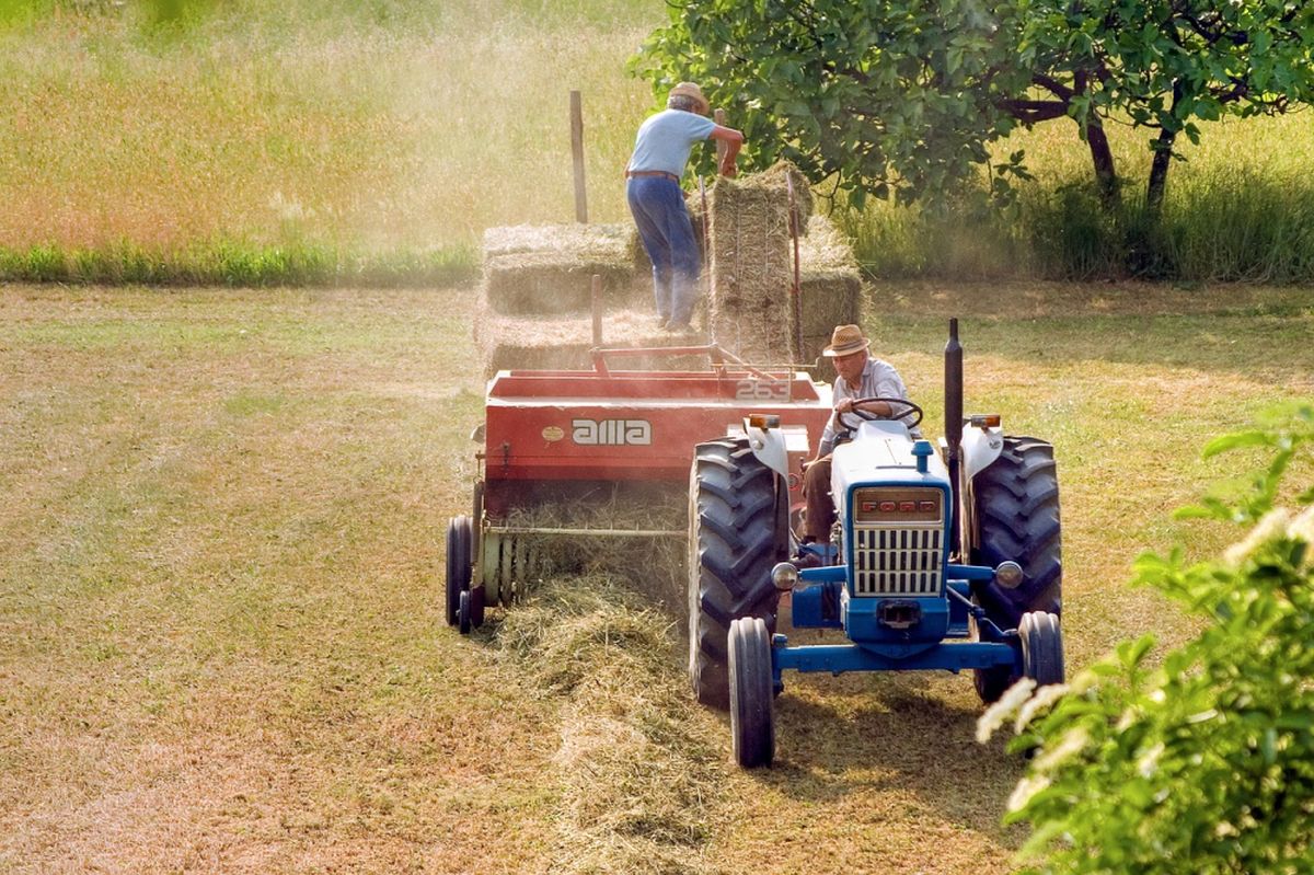 Se zahradním traktůrkem opatrně: Musí se za něj platit povinné ručení, jinak přijde pokuta