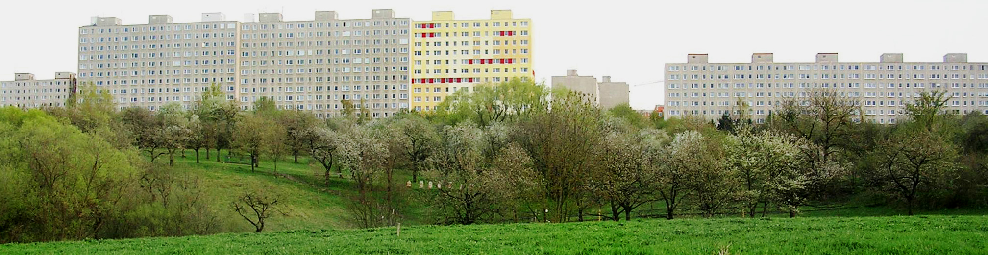 Kvíz: Bydlení v paneláku znáte nazpaměť. Přesto u těchto situací většina lidí tápe