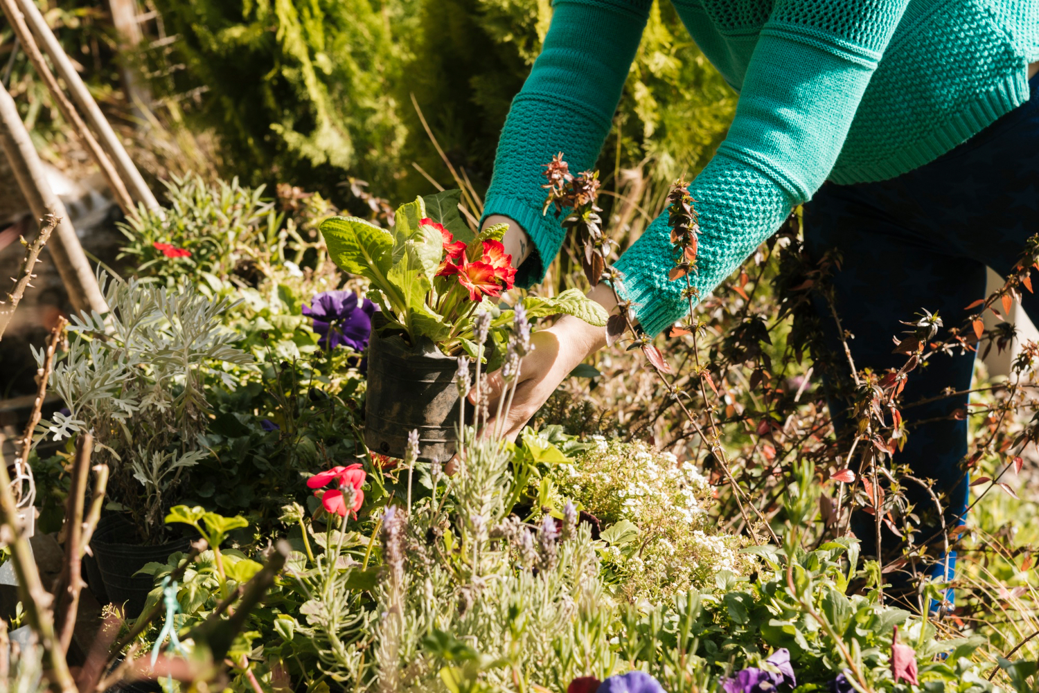 Trvalky a záhony potřebují zásah dřív, než si myslíte: Víte jaký? Kdo tohle neudělá, zpomalí růst i kvetení