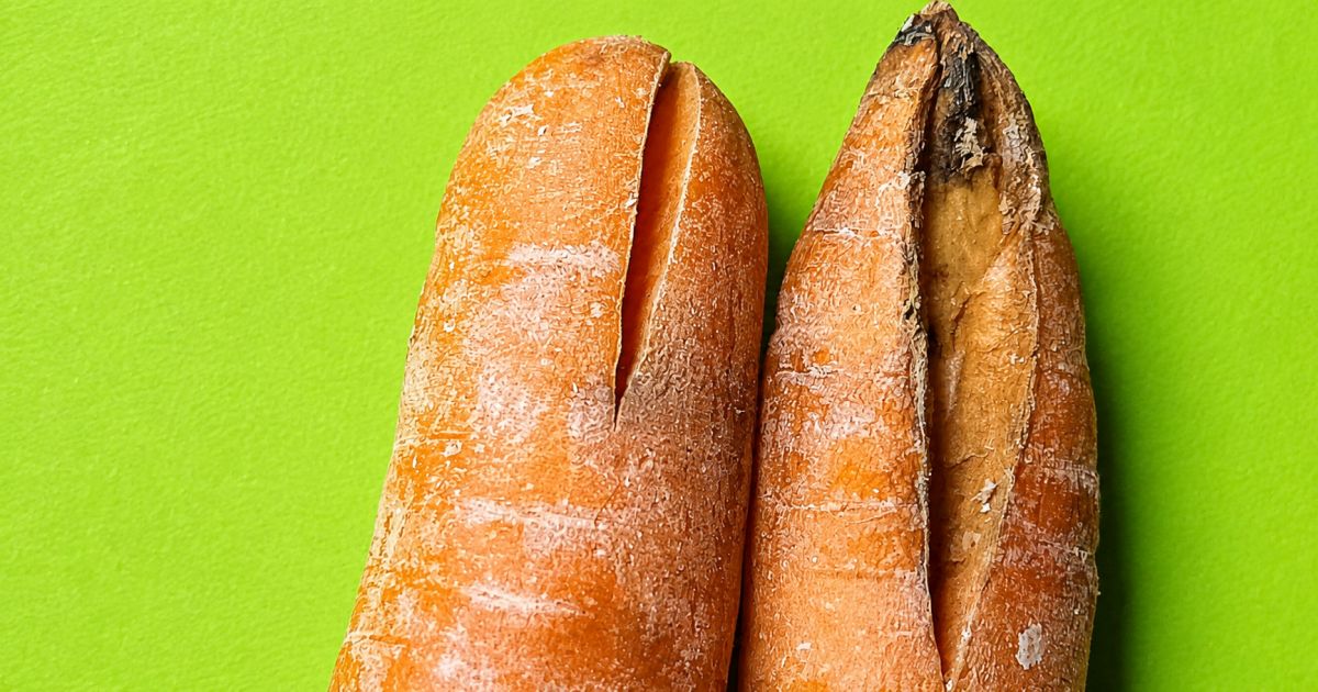 Kdo nechává na mrkvi nať i pár hodin po sklizni, přijde o křupavost celé úrody. Kořen vysychá rychleji, než čekáte