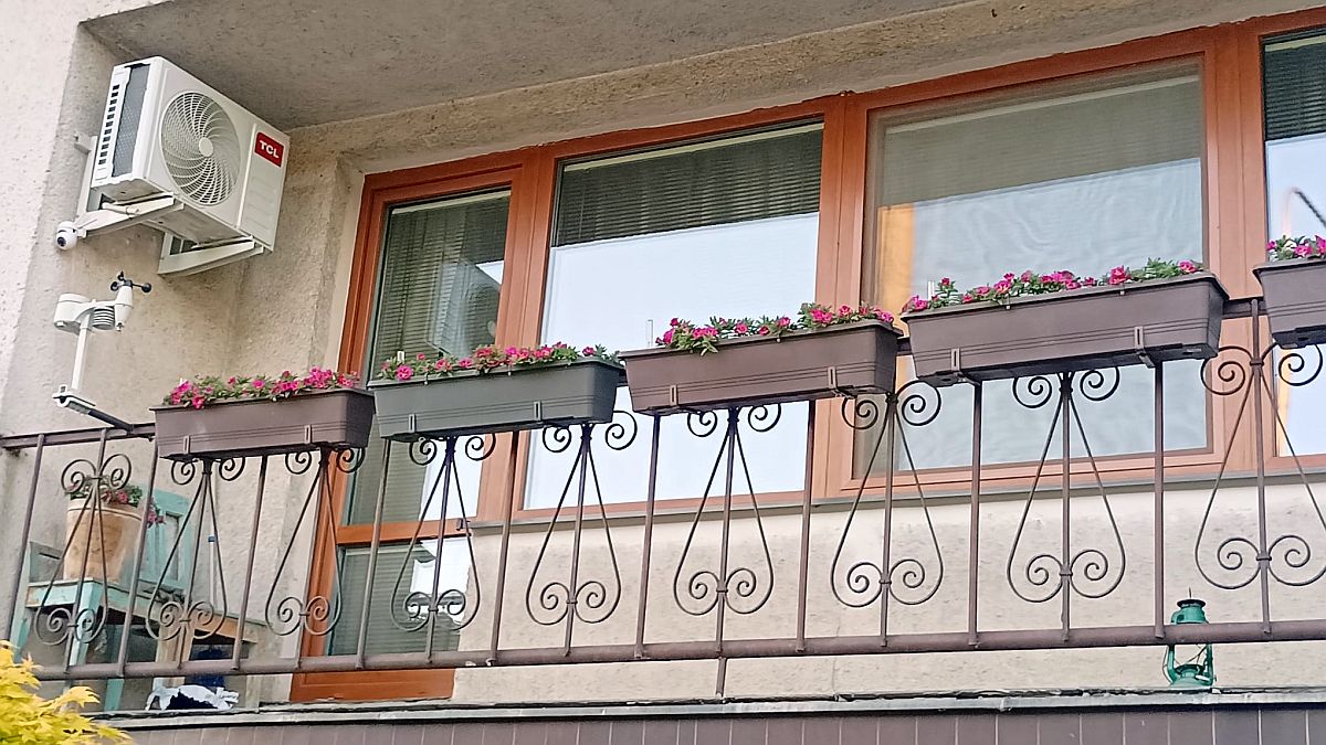 Prostěradlo přes květináč vypadá směšně, ale po první mrazivé noci pochopíte proč. Bez něj se citlivé rostliny neprobudí