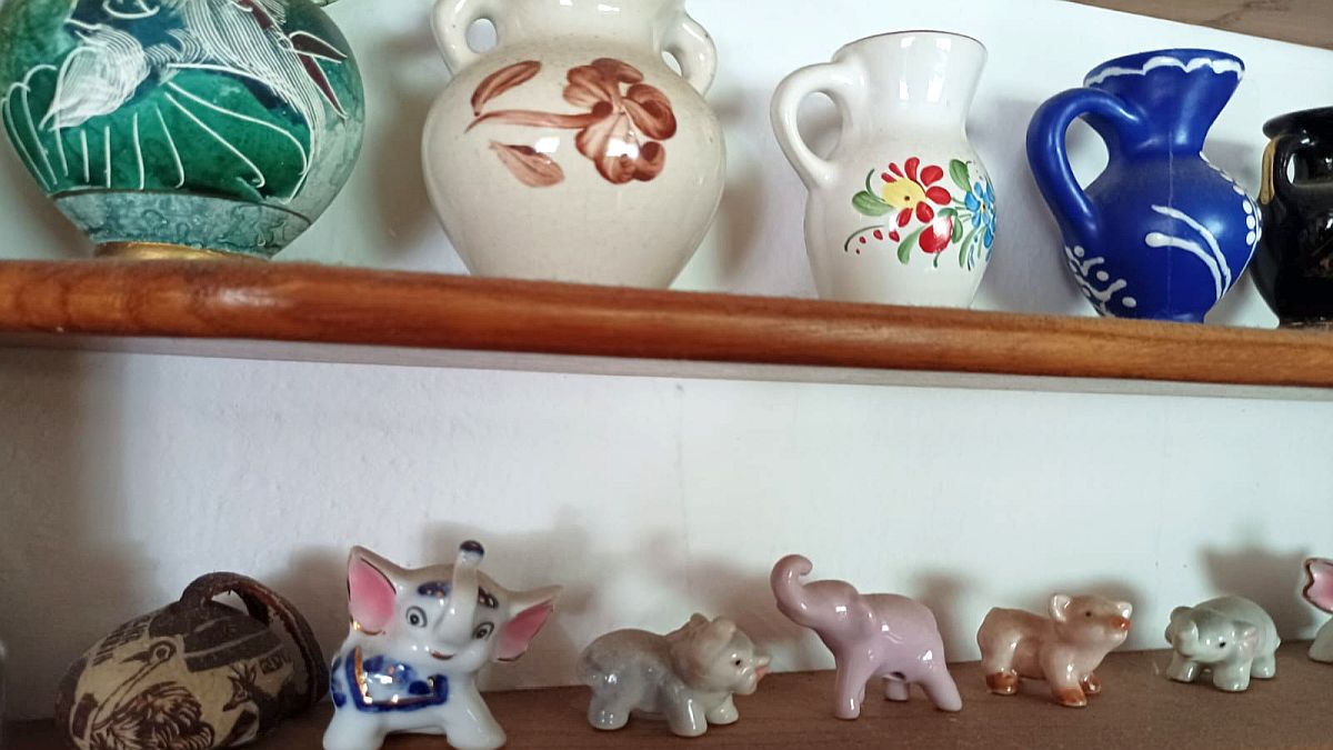 Porcelán, který většina rodin schovává ve sklepě, zažívá cenový boom. Klíčová je barva a značka z Karlovarska