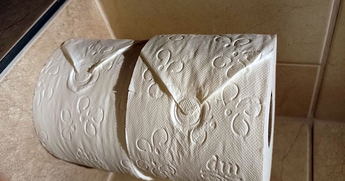 Správný způsob věšení toaletního papíru existuje už 130 let. Kdo ho ignoruje, dotýká se bakterií na zdi při každém použití