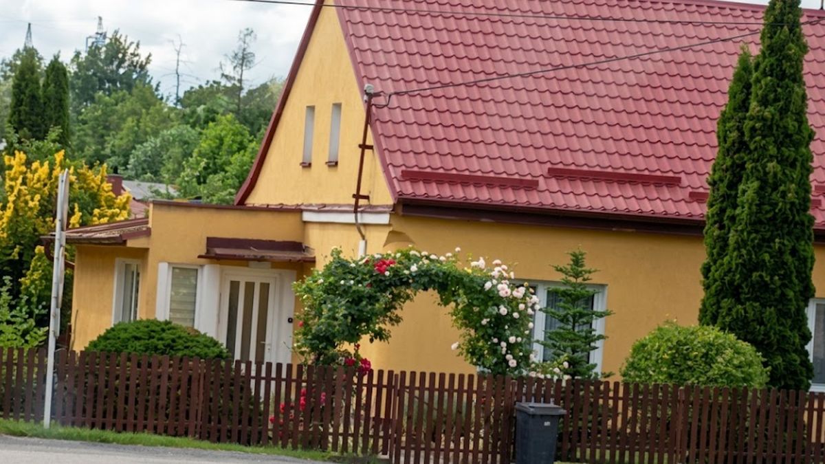 Kopřivový výluh, popel a posečená tráva: tři babičkovská hnojiva, po kterých túje zůstanou zelené i v 35 °C