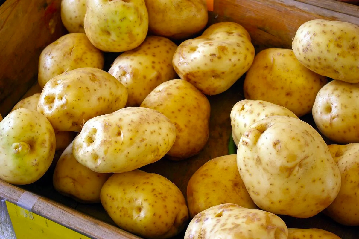 hromada brambor