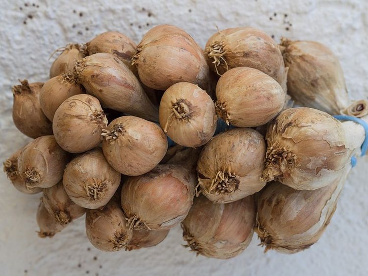 Starověký způsob uchování česneku – stačí ho jen dobře zaplést