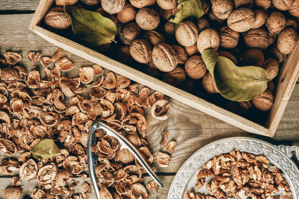 Až vylouskáte veškerou zásobu ořechů, bylo by škoda zbavovat se skořápek, které vám po nich zbudou – mají ještě hodně využití.