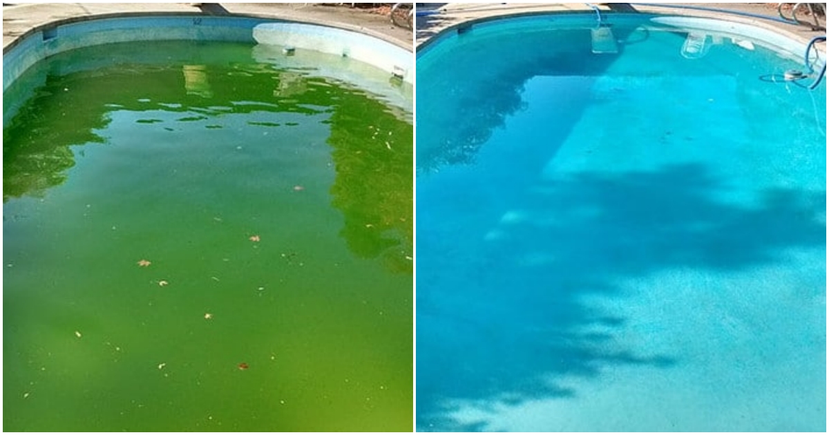 Jak vyčistit bazén bez chemie?