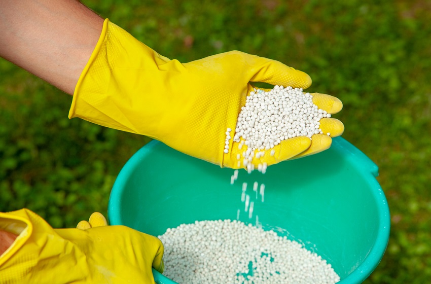 Pokud chcete pařez odstranit opravdu jednoduše, vezměte si k ruce dusíkatá hnojiva