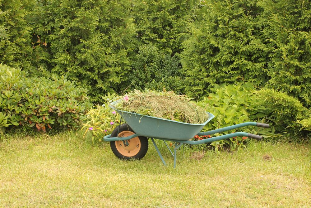 Z vytrhaného plevele uděláte hnojivo pro celou zahradu