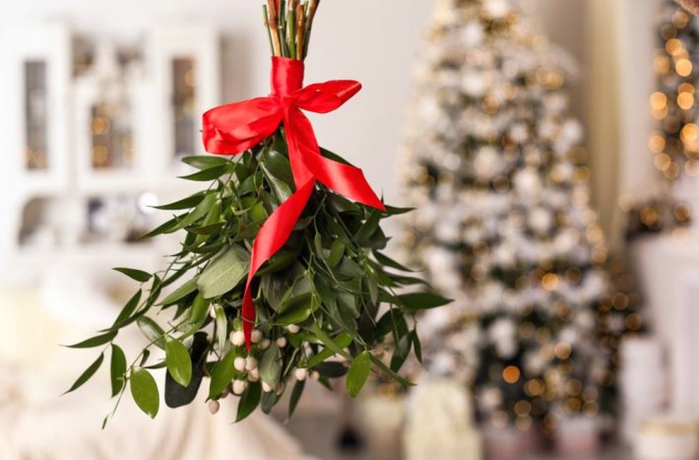 Umělý nebo živý vánoční stromeček