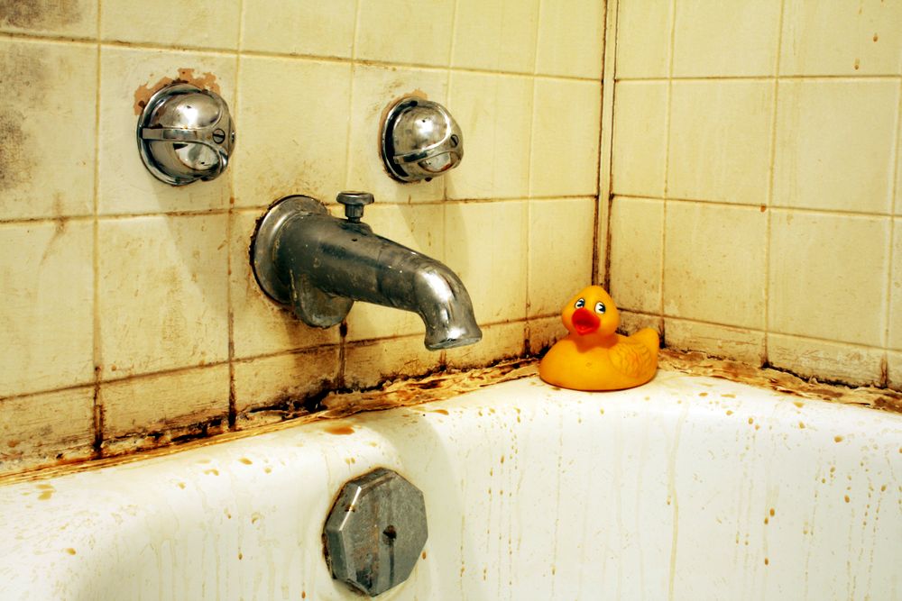 Aby byla vaše koupelna stále krásná, musíte si poradit s důsledky nadměrné vlhkosti panující uvnitř – například se rzí.
