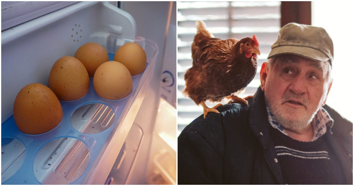 Jak dlouho vydrží vejce v lednici diskuze?