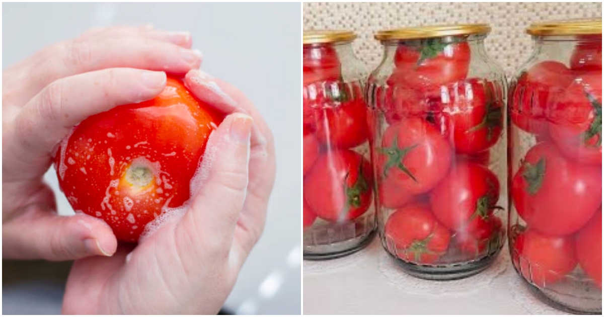 Jak uchovat čerstvá rajčata?