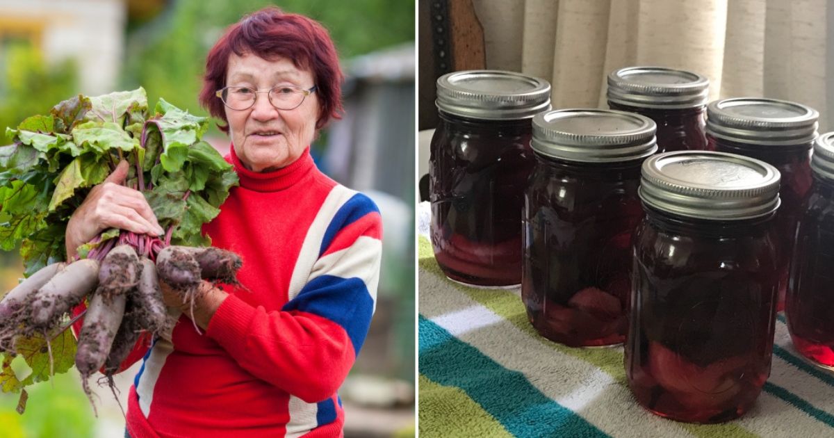 Červená řepa vydrží až do léta: S šikovným postupem se dá skladovat i v bytě. Hniloba, vysychání a ztráta chuti se jí vyhnou obloukem