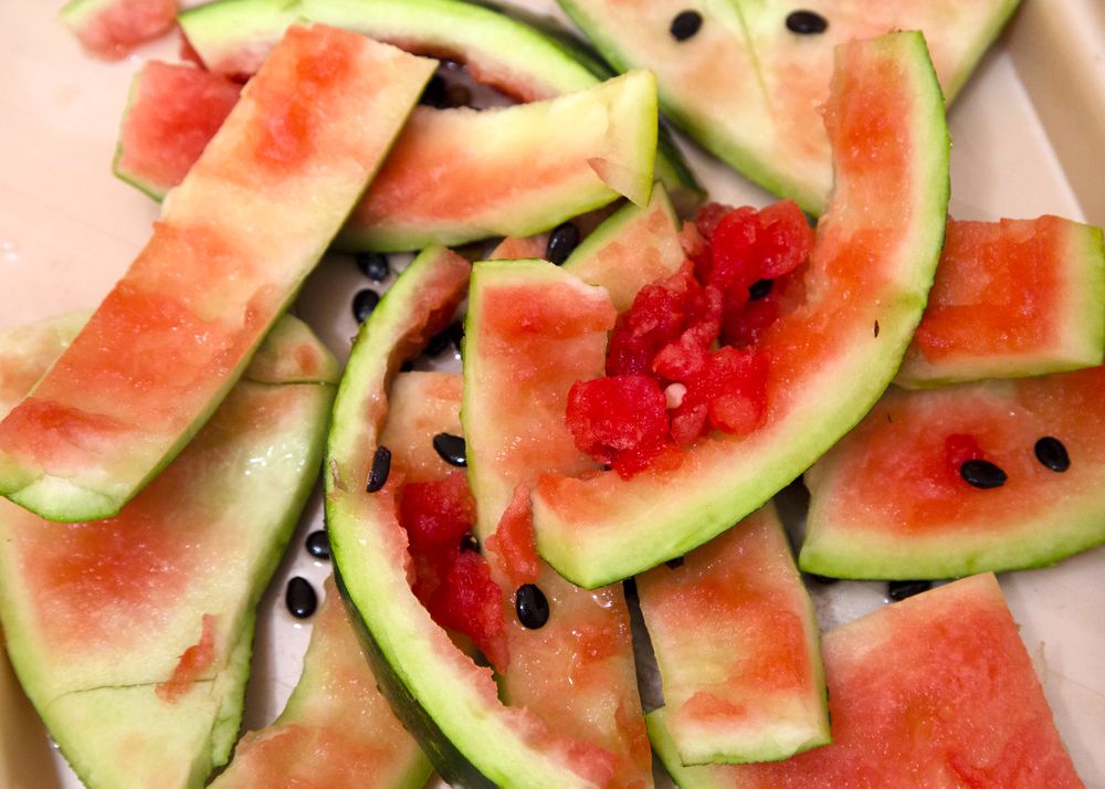 Jak použít slupky z melounu na zahradě – pohnojí i pomohou proti škůdcům