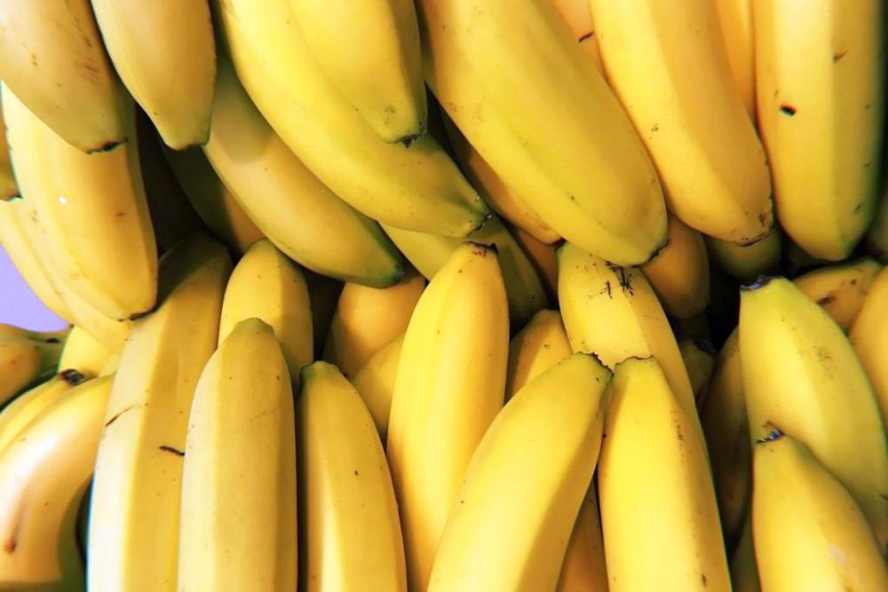 Banán hnojení