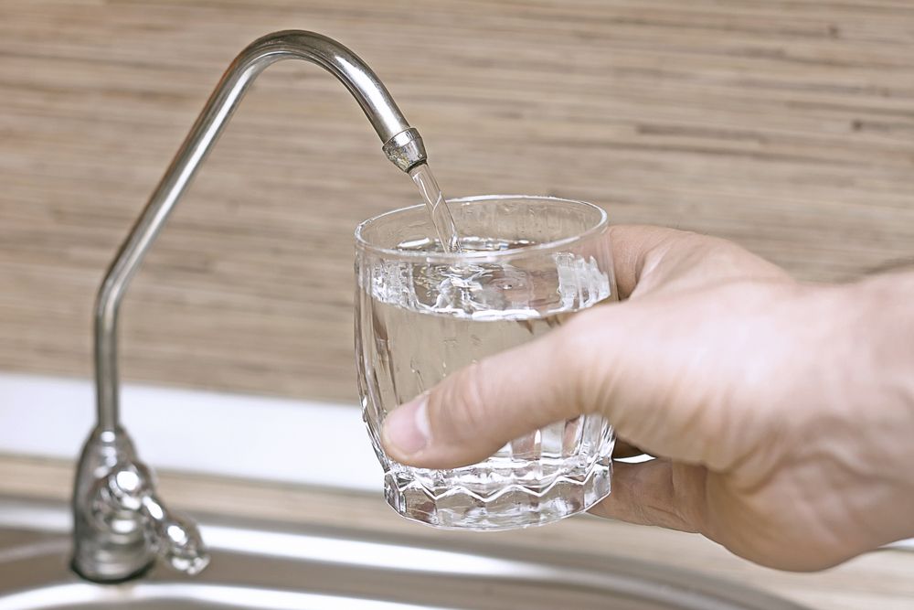 Jak se zbavit much díky triku se sklenicí vody