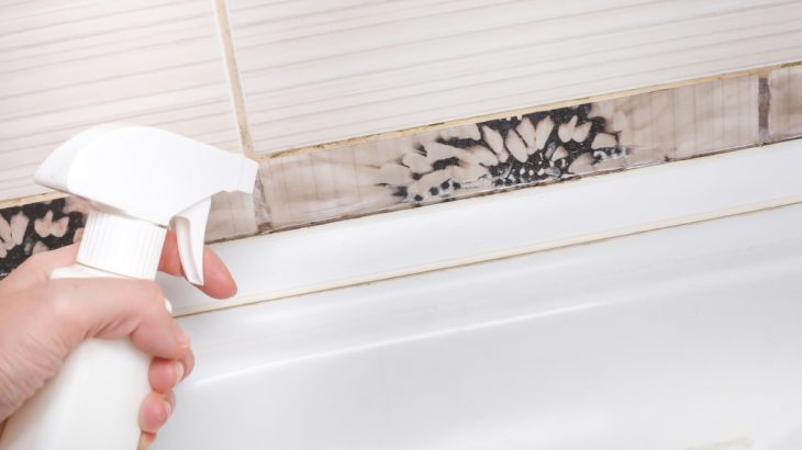 Plísně se v koupelně mohou vytvářet kvůli vlhkosti a nedostatečné ventilaci – pomoci vám s nimi může obyčejný ocet.