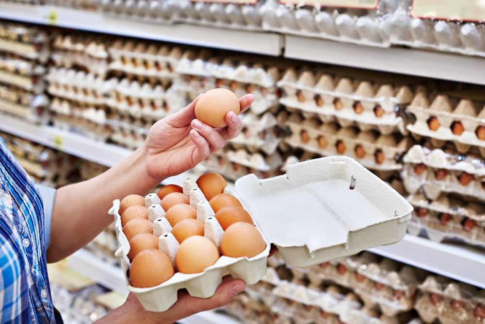 Jak efektivně využít obaly od vajec