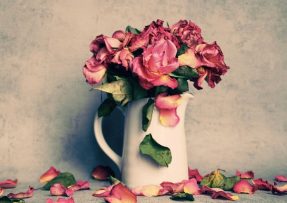 Proč doma nemít sušené květiny: Podle pověr přitahují negativitu
