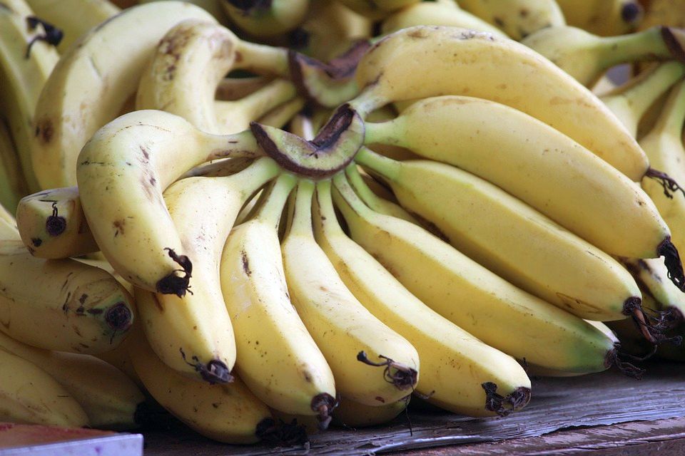 Jak zabránit hnědnutí banánů jednoduchými domácími metodami