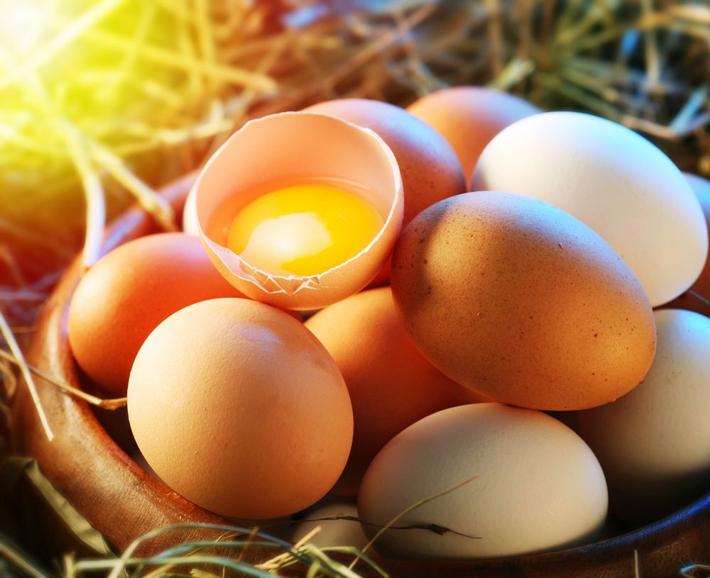 Co ještě vědět o vejcích