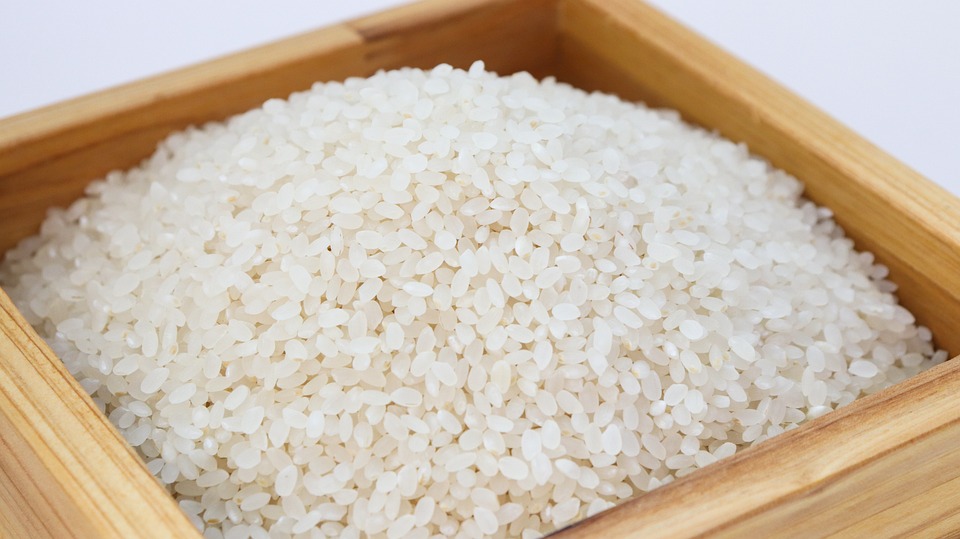 Hnojivo z rýžové vody