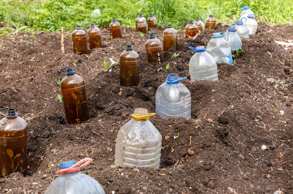 Zakopejte plastové lahve do země, umí pomoci zahradě