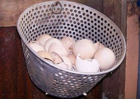 Vaječné skořápky jako skvělé bělidlo prádla: Stačí je jen vhodit do pračky