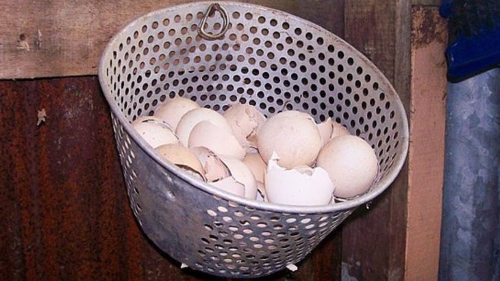 Vaječné skořápky jako skvělé bělidlo prádla: Stačí je jen vhodit do pračky