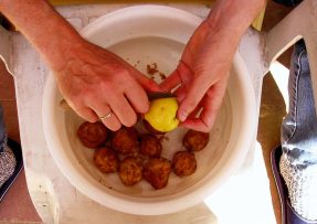 Hnojení pokojovek bramborovými slupkami je levné a účinné