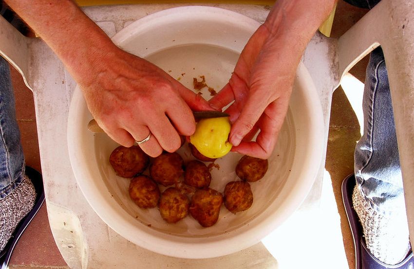 Hnojení pokojovek bramborovými slupkami je levné a účinné