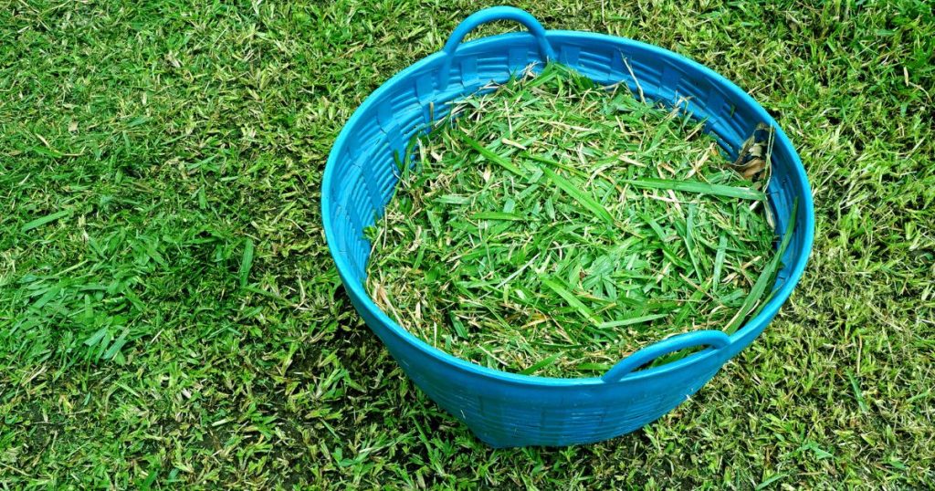 Jak vyrobit hnojivo na trávník?
