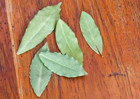 Bobkový list, zlepší zdraví rostlin a zrychlí růst