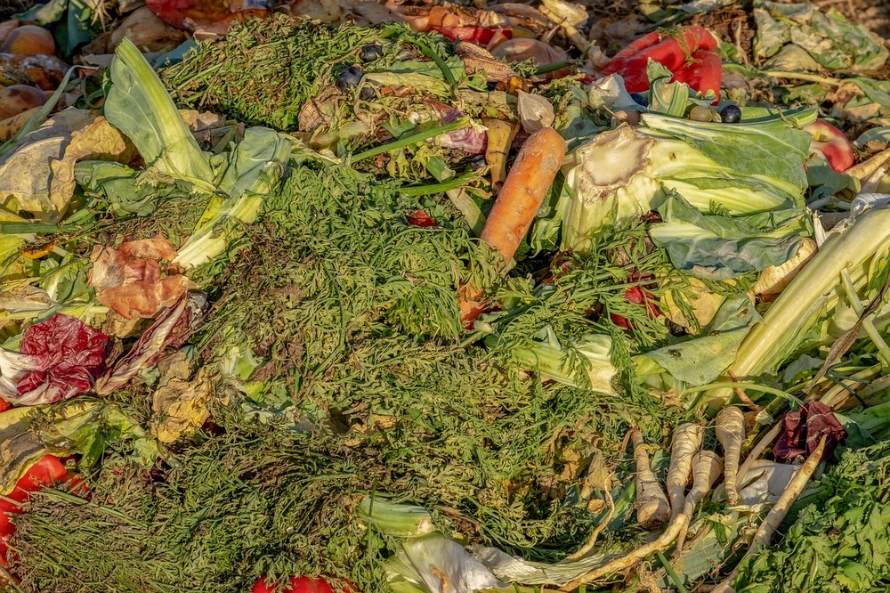 Zelenina a zbytky na kompostu