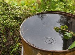 Pár kapek glycerinu do sudu s vodou vám pomůže šetřit