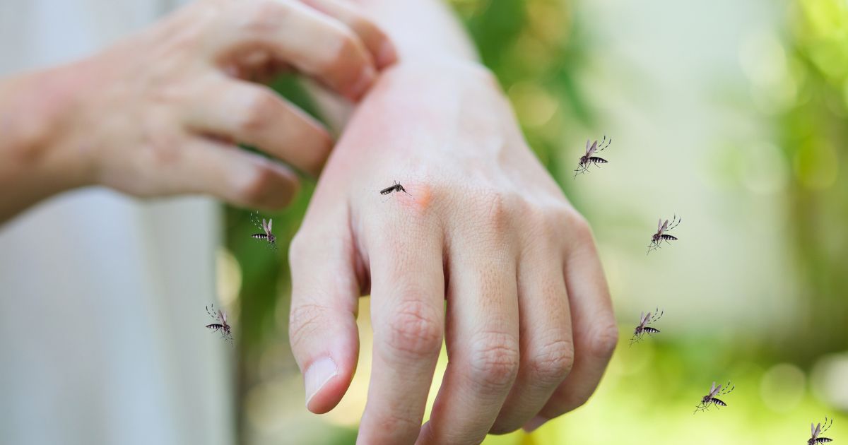 Proč zkušení zahradníci zapalují na zahradě kávu v alobalu: Nečekaná praktika odežene všechny škůdce