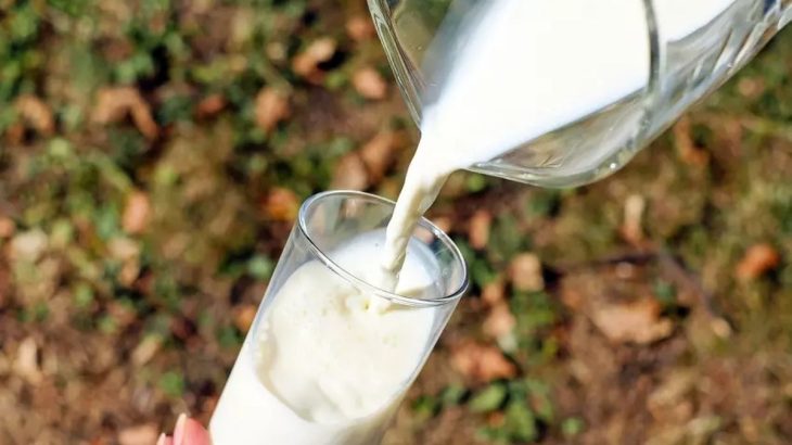 Znovuzrození pro většinu plodin: I ty polomrtvé ještě zachrání sklenice mléka