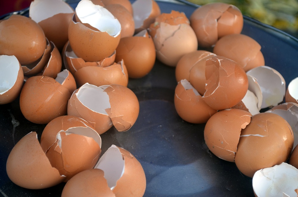 Vaječné skořápky
