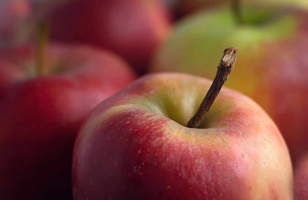 Pokud nemáte možnost jablka uskladnit, můžete z nich vyrobit chutné křížaly! Je to jednodušší, než si myslíte