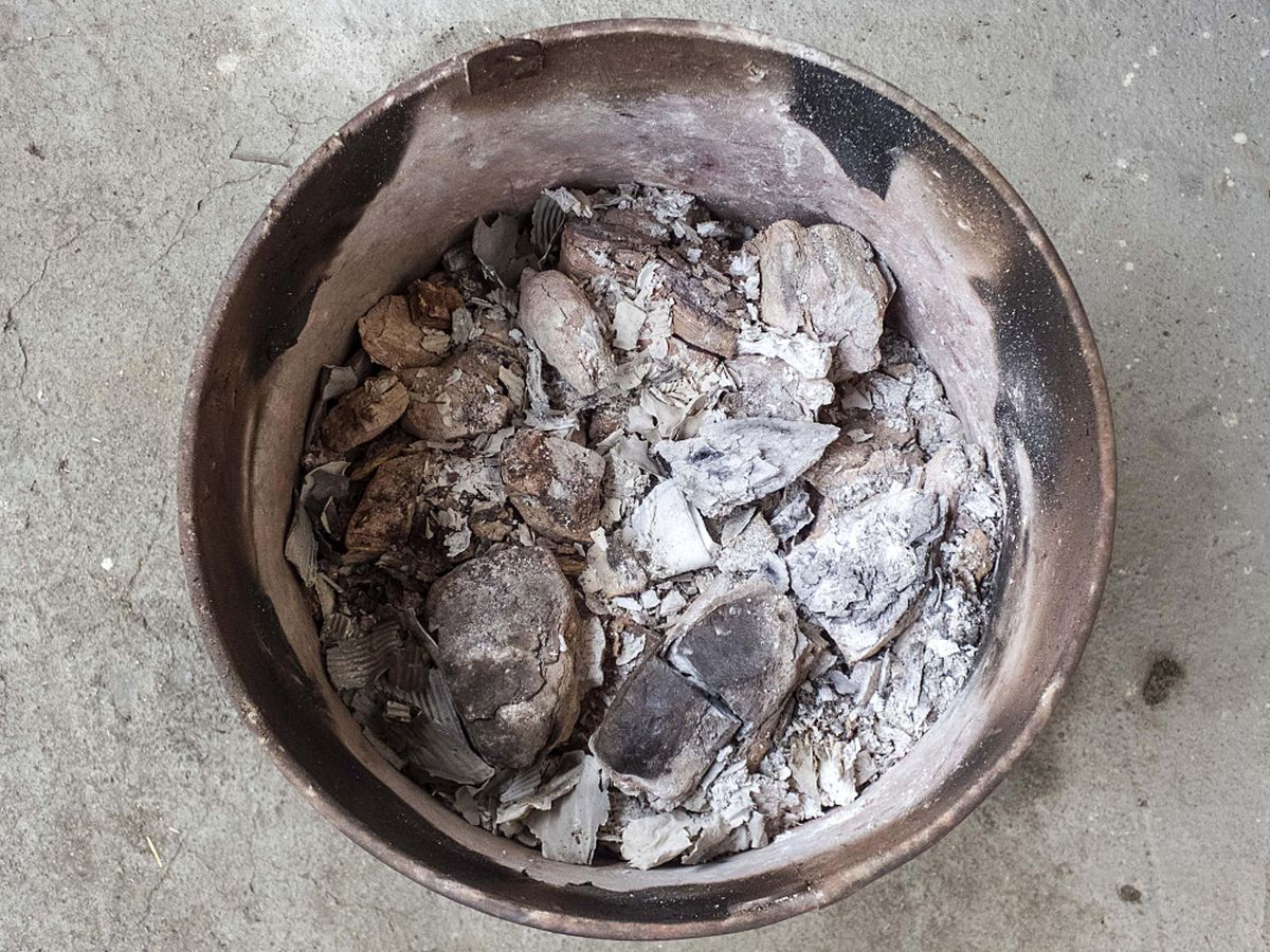 Kdo jednou přimíchá do půdy biouhel, nemusí hnojit roky. Účinek přetrvá tak dlouho, že z něj budou těžit i vaši vnuci