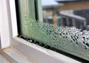 Už žádná kondenzace na oknech: Vlhkost zničí větrání i rostliny