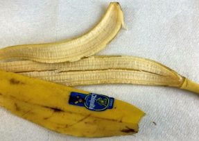 Banánovou slupku nevyhazujte, pomůže jako hnojivo nebo součást kompostu