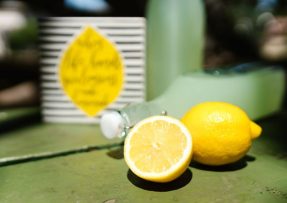 Už žádný vodní kámen, bez problému si s ním poradí citron