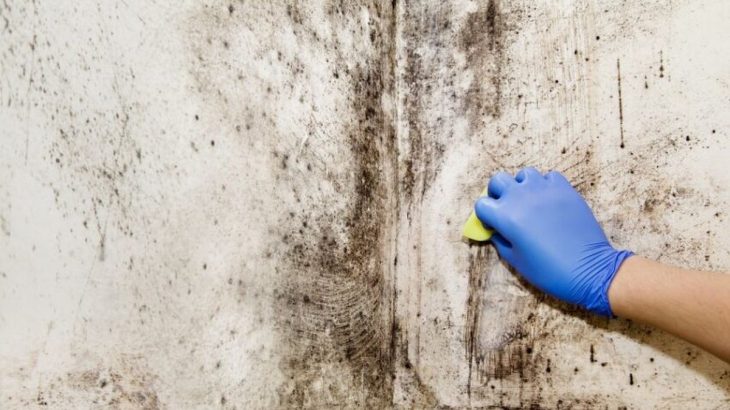 Dejte sbohem plísním v koupelně, rychle je odstraní obyčejný prací gel