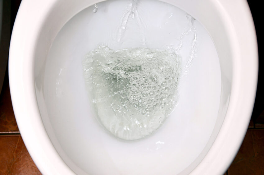 Česnek obsahuje enzymy, které mohou pomoci rozkládat organické zbytky a usnadnit čištění záchodu. Stačí ho jen šikovně použít. 